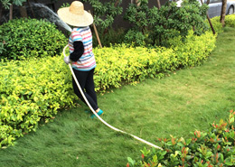 街道綠化養(yǎng)護